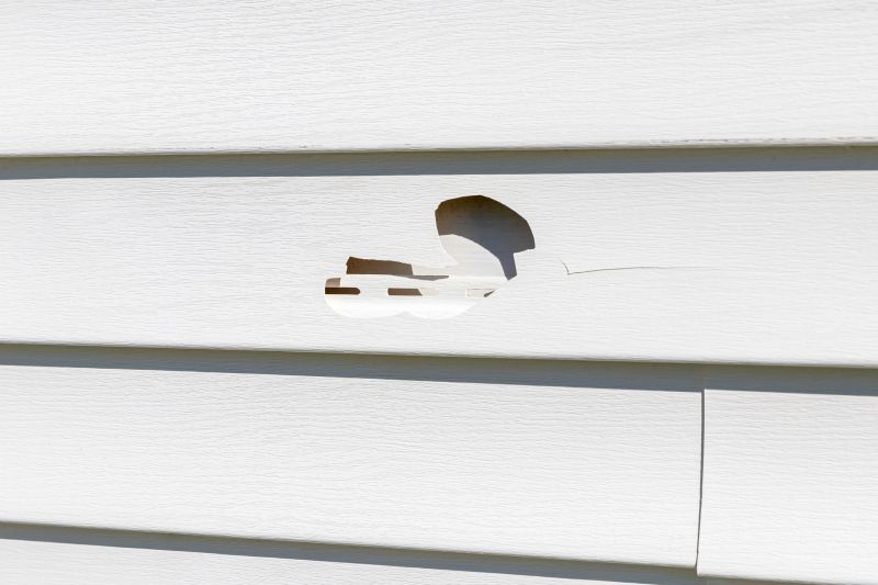 Assessment of Vinyl Siding Damage