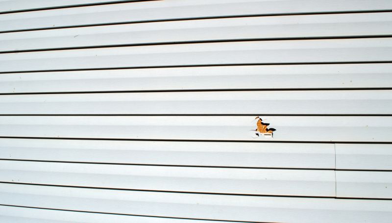 Removing Damaged Siding Panels